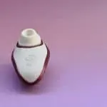 Womanizer Liberty Sex Toy