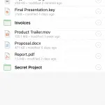 cryptomator mobile