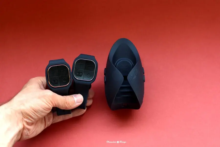 Pulse Duo Lux remotes