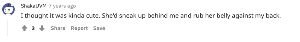 comment about a pregnant wife rubbing her belly on her husband