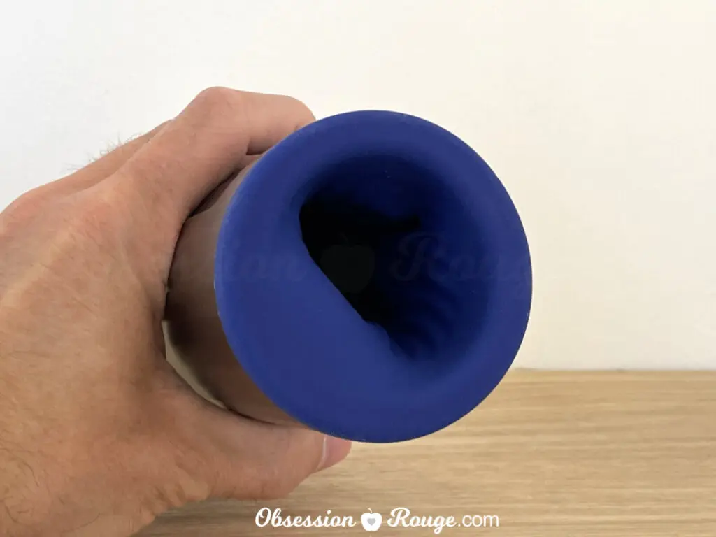 lelo f1s v2 inside