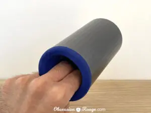 lelo f1s v2 review