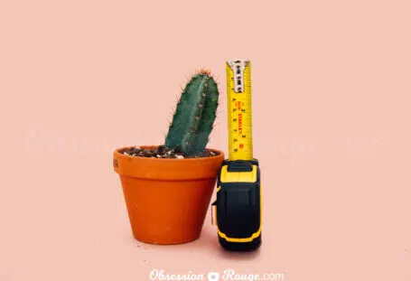 cactus tape measure penis size