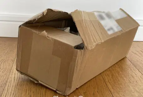 sex toy stolen